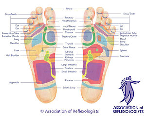 Reflexology, Reiki & Feminine Energy Healing. FootMap